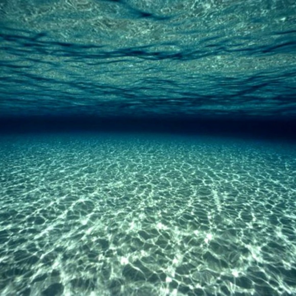 Meet your Posh Ambassador, Tee - Picture 4 of 6